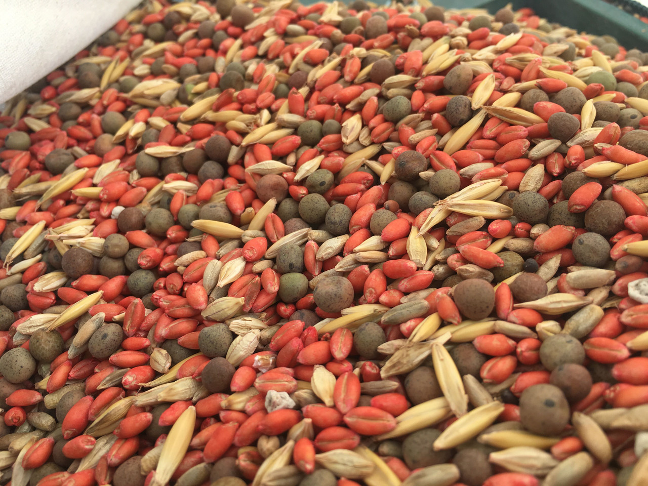 Deer Food Plot Seed - Deadly Dozen
